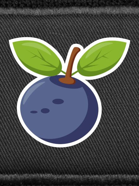 Blueberry Blueberry