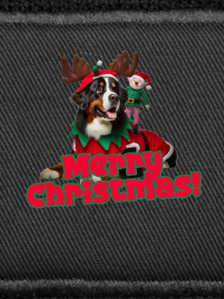 Christmas Bernese Mountain Dog