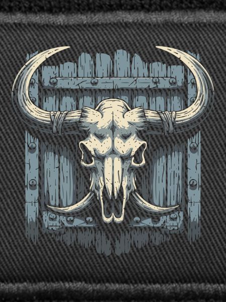 Bison-Schädel
