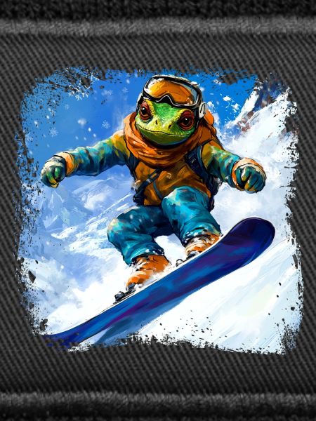 Snowboard Chamäleon
