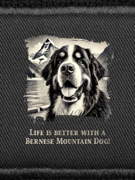 Bouvier bernois