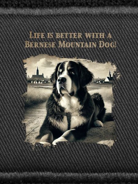 Bernese mountain dog
