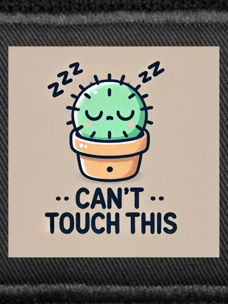 Can't Touch This