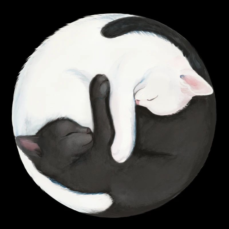 Zen Yin Yang Cats - Harmony in Black and White