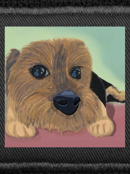 Hundeaugen oder Liebesreflex