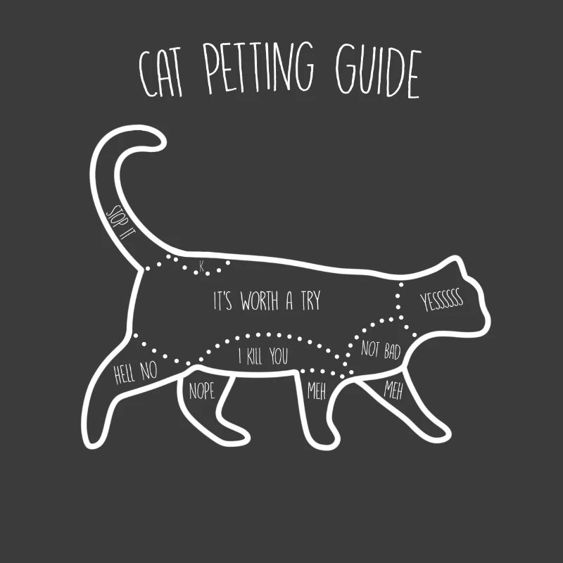 Guide de caresses pour chat