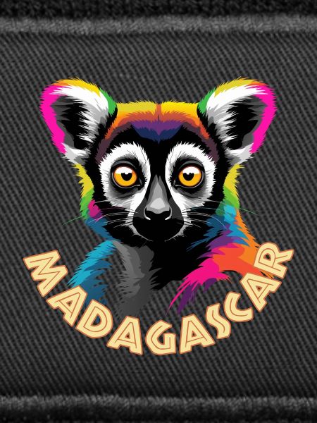 Lemur of Madagascar