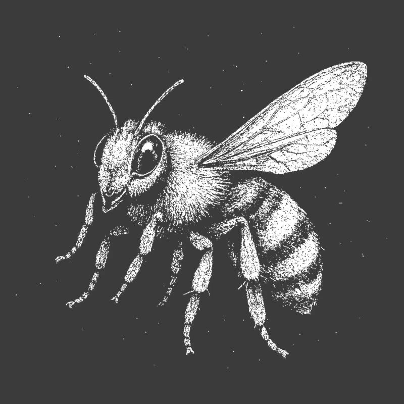 A bee