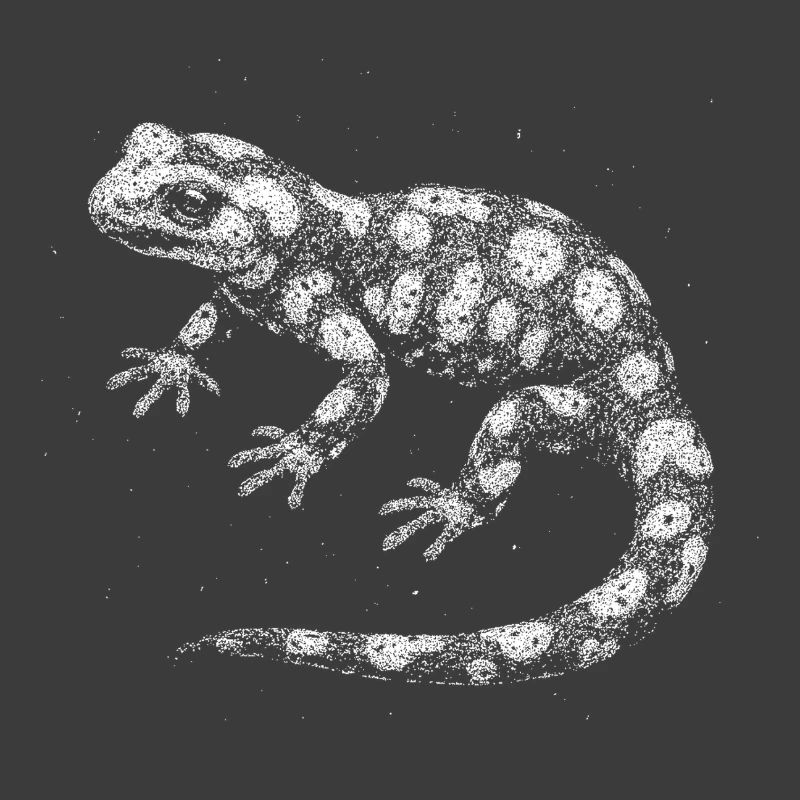 Fire salamander