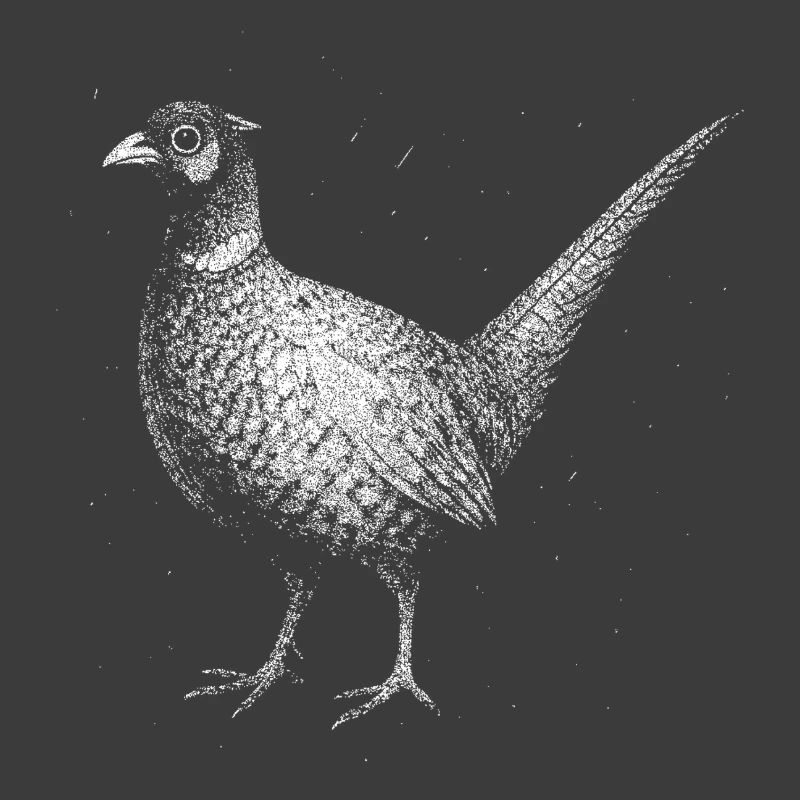 A pheasant