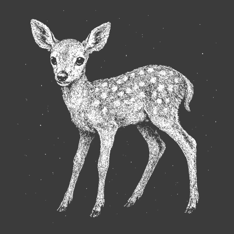 Fawn