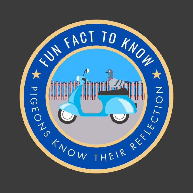 Pigeons know their reflection