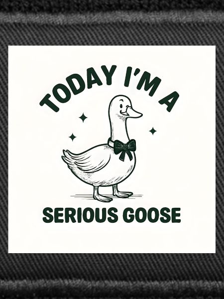 Serious goose