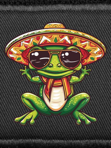 Frog Funny Sombrero