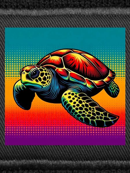 tortue