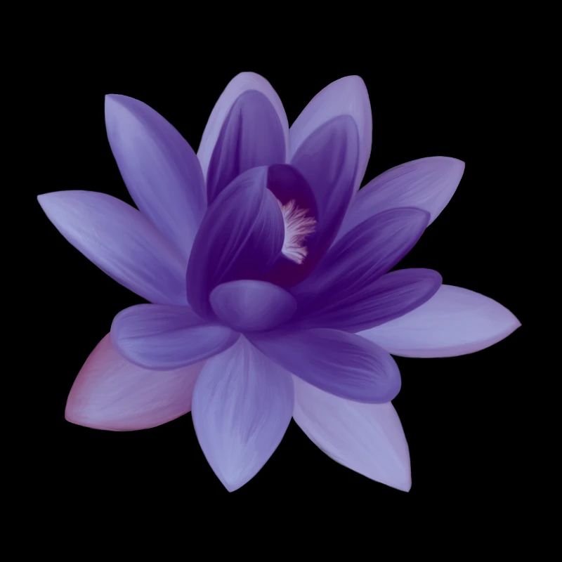 Illustration de fleur