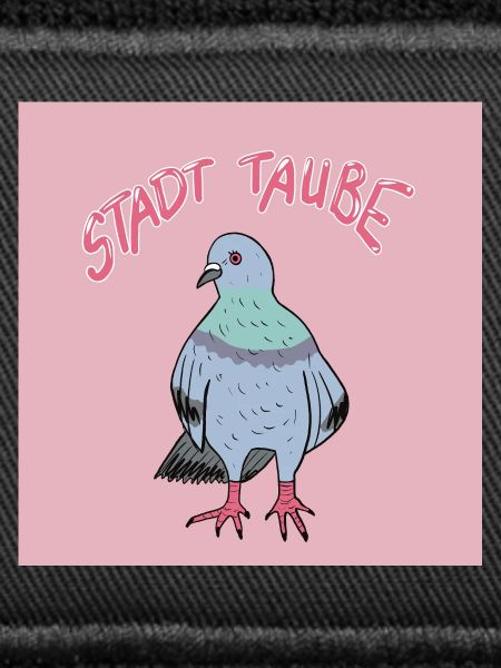 Stadttaube Illustrationsdesign