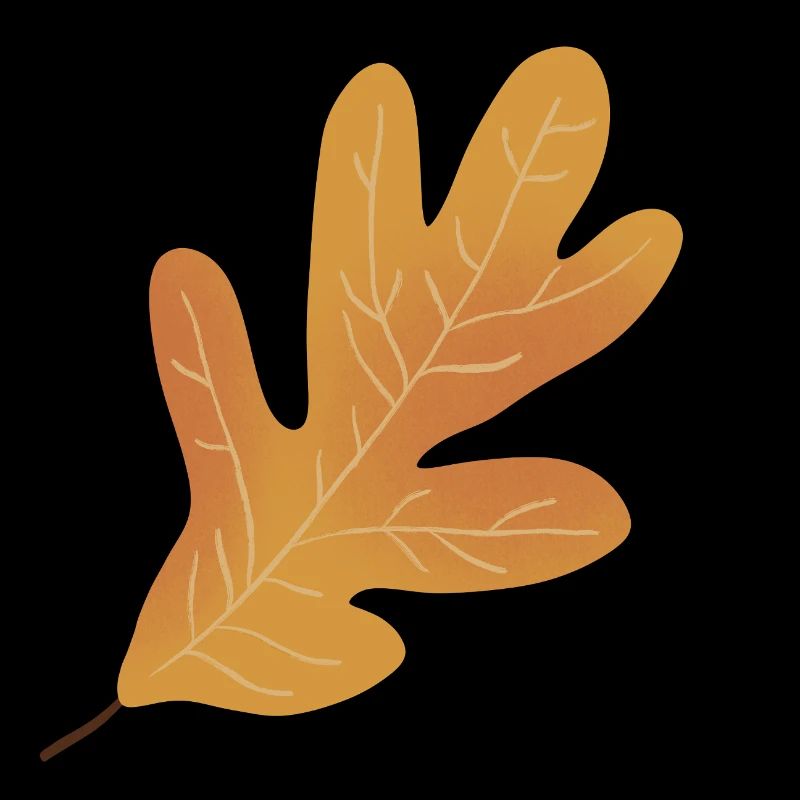 Herbst Eichenblatt Illustration