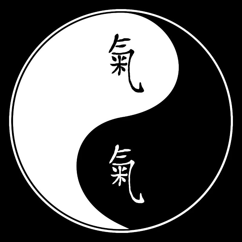Symbole Yin Yang avec des caractères chinois