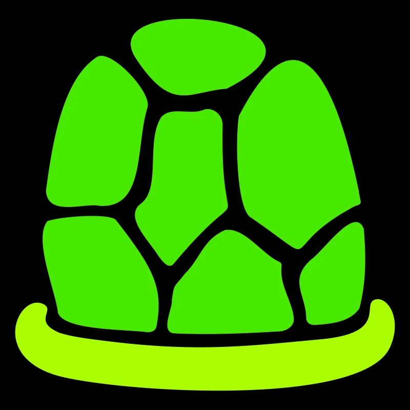 Turtle shell without turtle cute shell fun