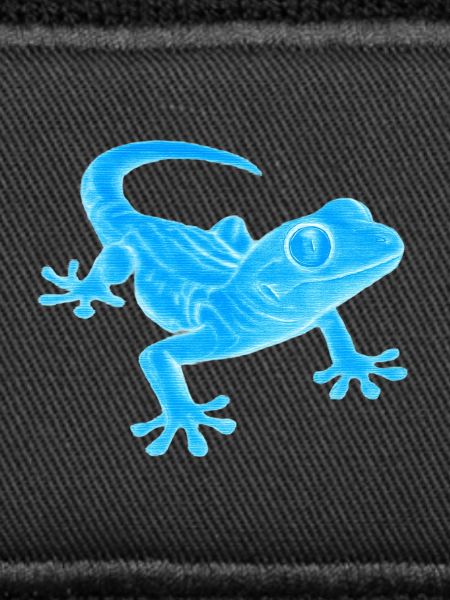 Blue Gecko Silhouette Pattern