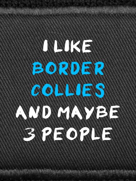 Border Collie