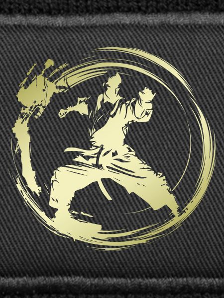 Karate Silhouette Fighter