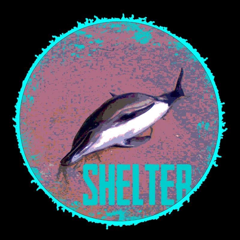 Dolphin Shelter Circle