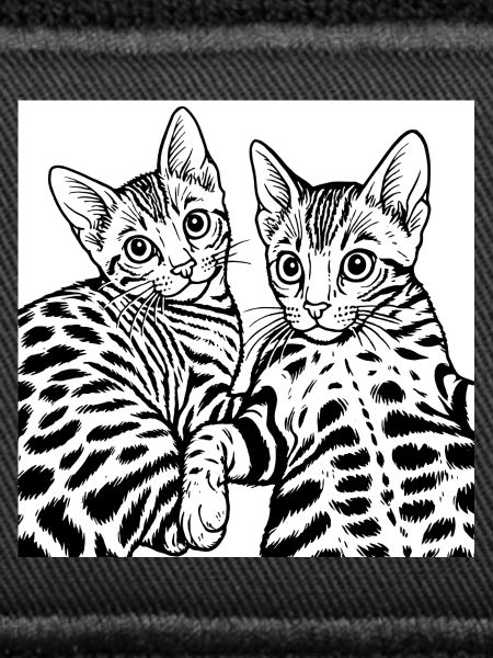 Cat Duo Line Drawing