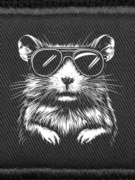 Cool Hamster Sunglasses