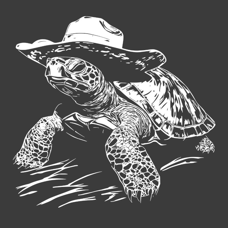 Turtle Cowboy Hat Western