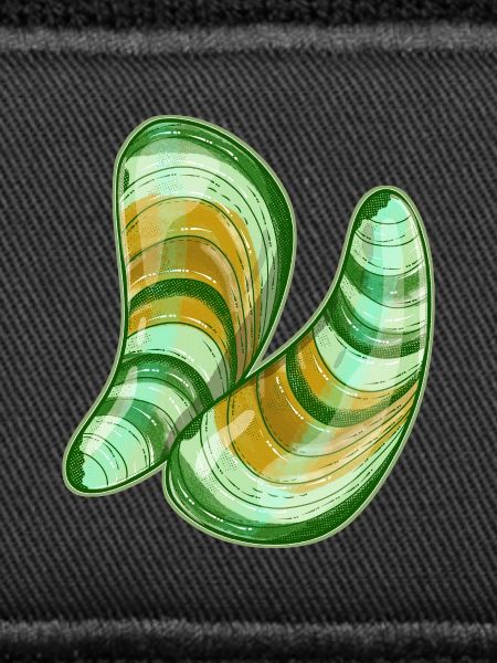 Grünlippmuscheln Illustration