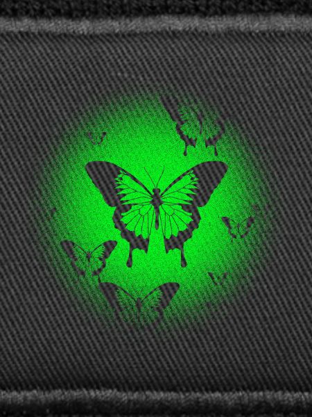 Papillon