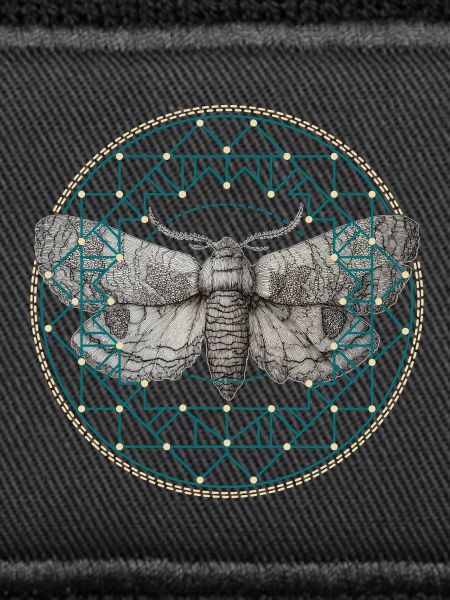 Moth Sacred Geometry