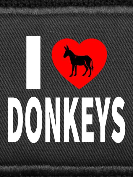 donkey