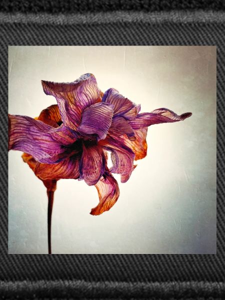 Withered Flower