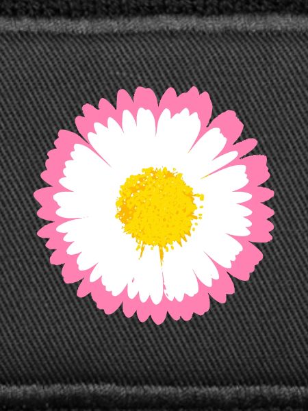 Pink Daisy Edge