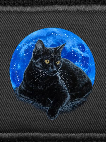Starry feline.