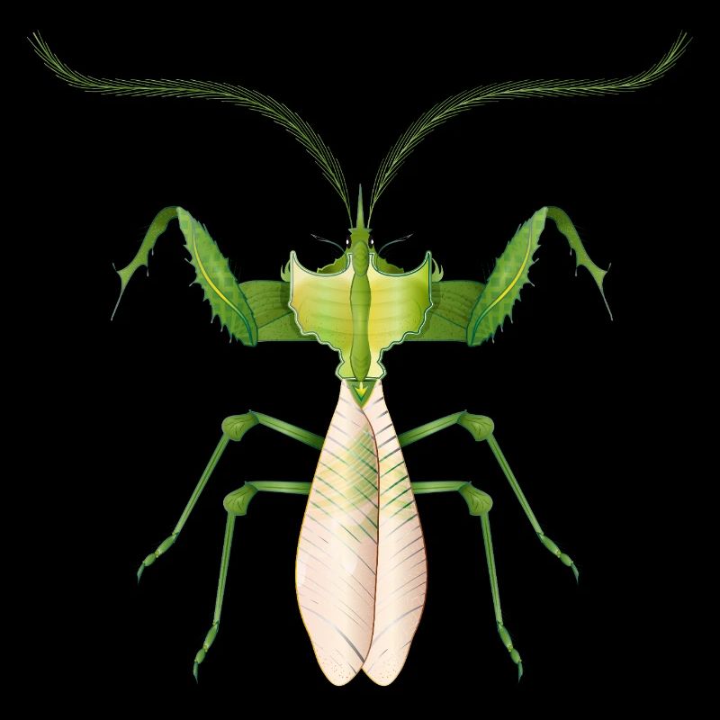 Tropical Insect in Green – Filigree Devil Flower
