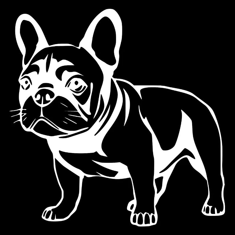 Bouledogue Français Chien Chiot Chien Bébé