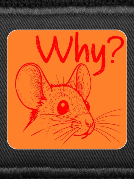 Why Mouse Irritation
