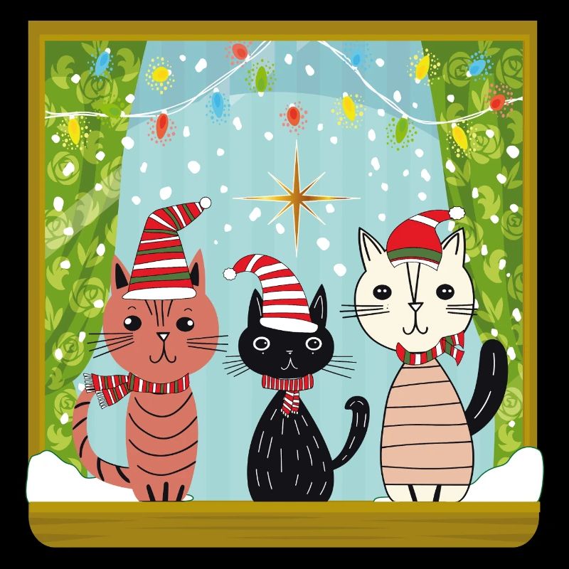 Katzen Weihnachtszauber