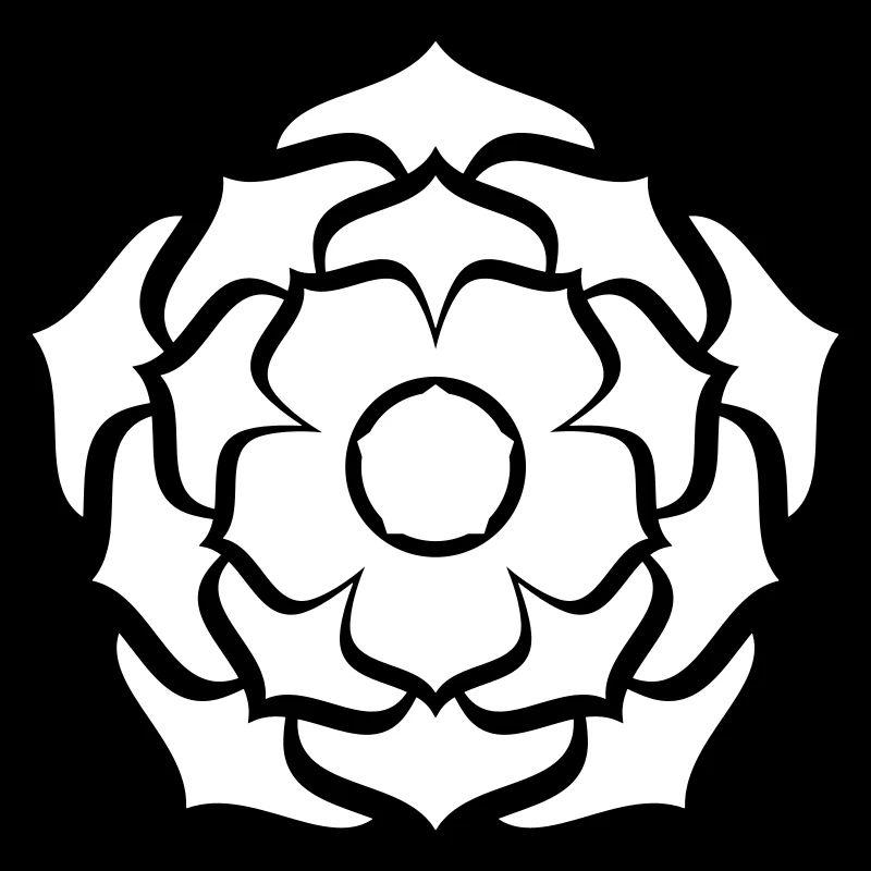 Lotus Mandala Bloom