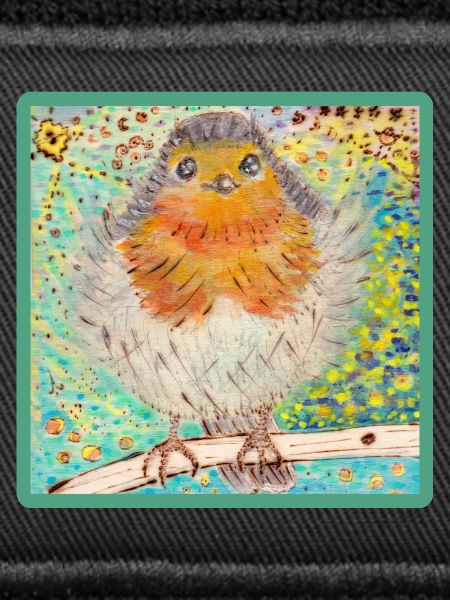 Rotkehlchen /Robin
