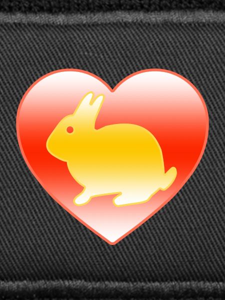 Lapin