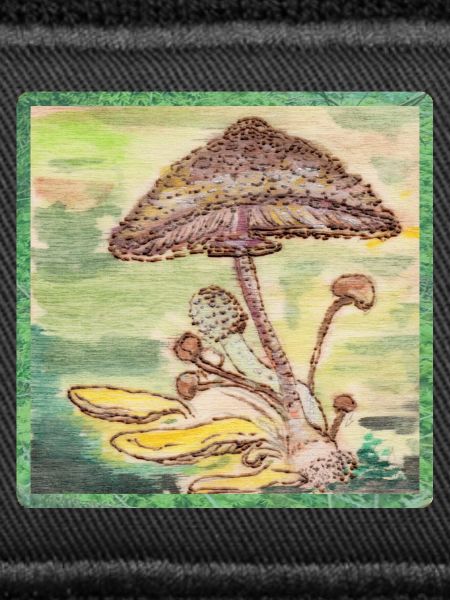 Fungi