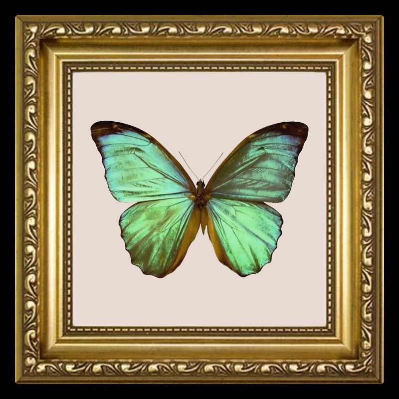 Papillon émeraude dans un cadre doré