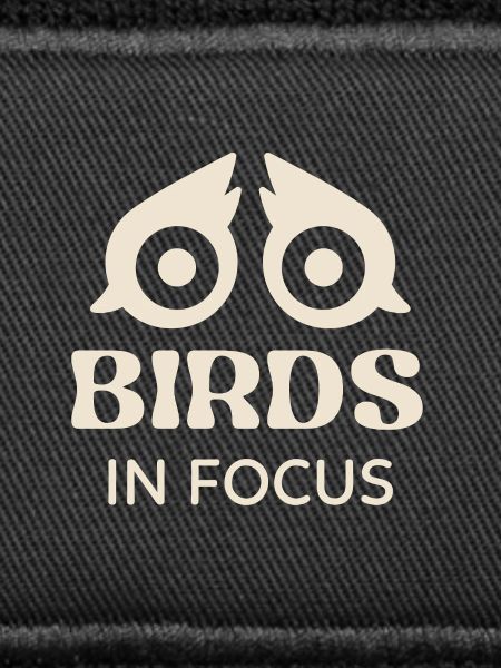 Birds in Focus
