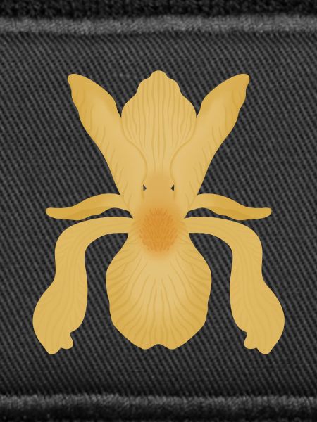 Golden Iris Bloom