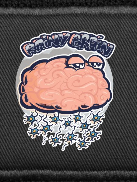 Rainy brain